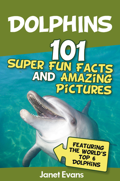 

Dolphins: 101 Fun Facts & Amazing Pictures (Featuring The World's 6 Top Dolphins)