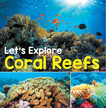 

Let's Explore Coral Reefs