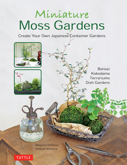 Megumi Oshima - Miniature Moss Gardens