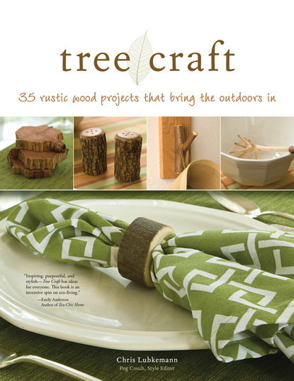 Chris Lubkemann — Tree Craft