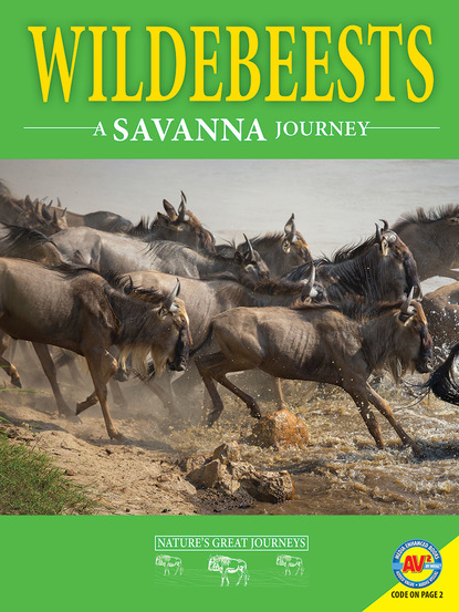 

Wildebeest: A Savanna Journey