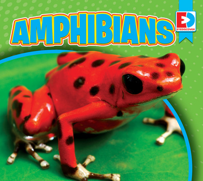 

Amphibians