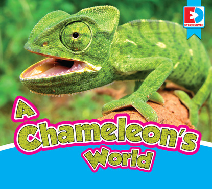 

A Chameleon’s World