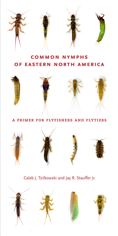 Caleb J. Tzilkowski - Common Nymphs of Eastern North America