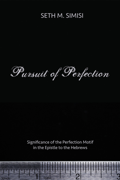 Seth M. Simisi — Pursuit of Perfection