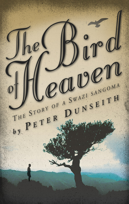 

The Bird of Heaven
