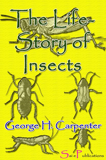 

The Life-Story of Insects