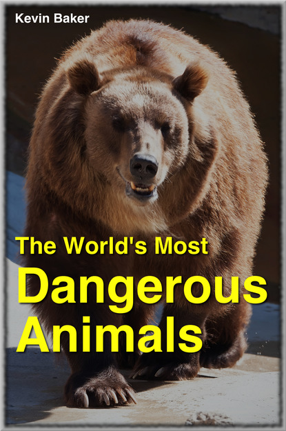 Kevin Baker Baker - The World's Most Dangerous Animals