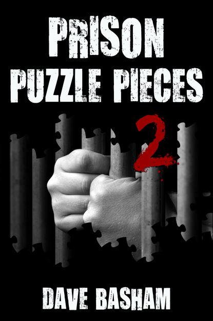 

Prison Puzzle Pieces 2