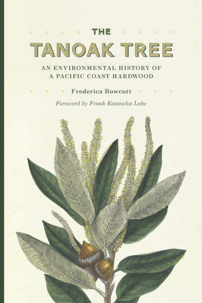 Frederica Bowcutt - The Tanoak Tree