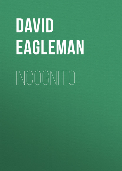 David  Eagleman - Incognito