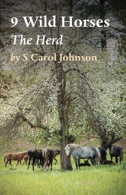 S Carol Johnson - 9 Wild Horses