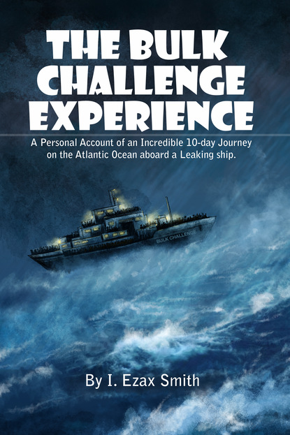 

The Bulk Challenge Experience