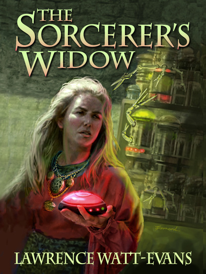 

The Sorcerer's Widow