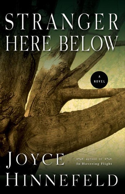 Joyce  Hinnefeld - Stranger Here Below