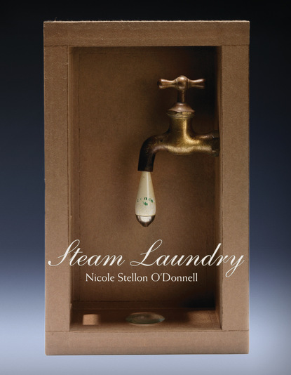 Nicole Stellon O'Donnell — Steam Laundry