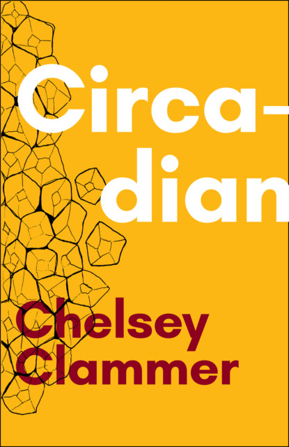 Chelsey Clammer - Circadian