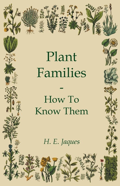 H. E. Jaques - Plant Families - How To Know Them