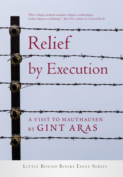 Gint Aras — Relief by Execution