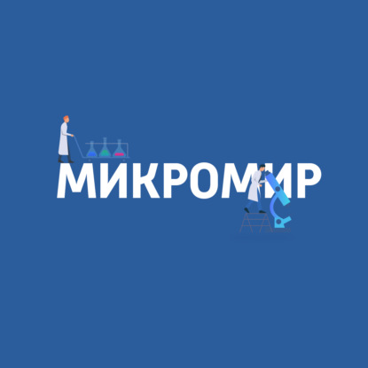 

Не нервные клетки в нервной системе
