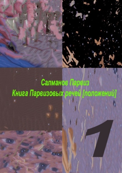 

Книга Парвизовых речей [положений]. Часть 1