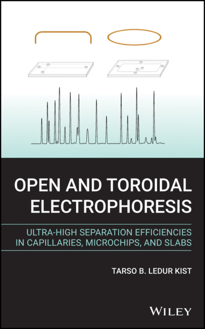 Tarso B. Ledur Kist - Open and Toroidal Electrophoresis