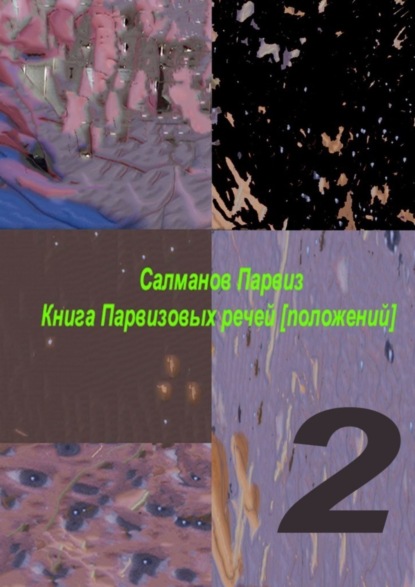 

Книга Парвизовых речей [положений]. Часть 2