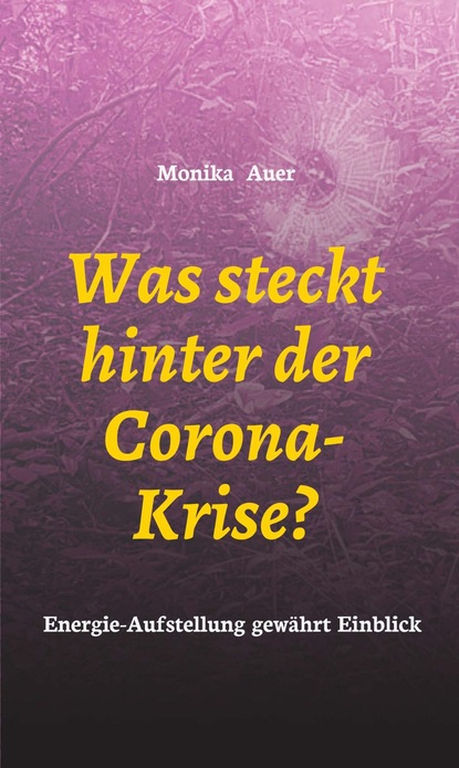 

Was steckt hinter der Corona-Krise