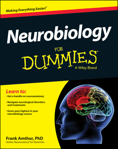 Frank  Amthor - Neurobiology For Dummies