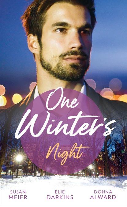 Обложка книги One Winter's Night, Сьюзен Мейер