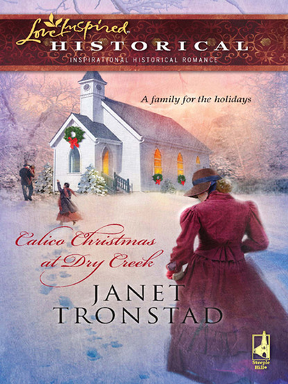 Janet Tronstad - Calico Christmas at Dry Creek