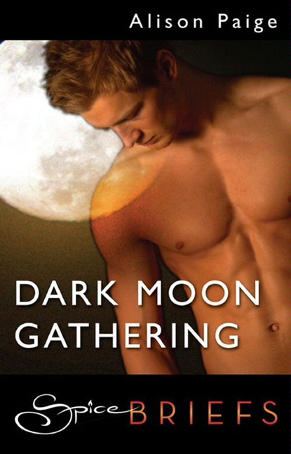 Alison Paige - Dark Moon Gathering