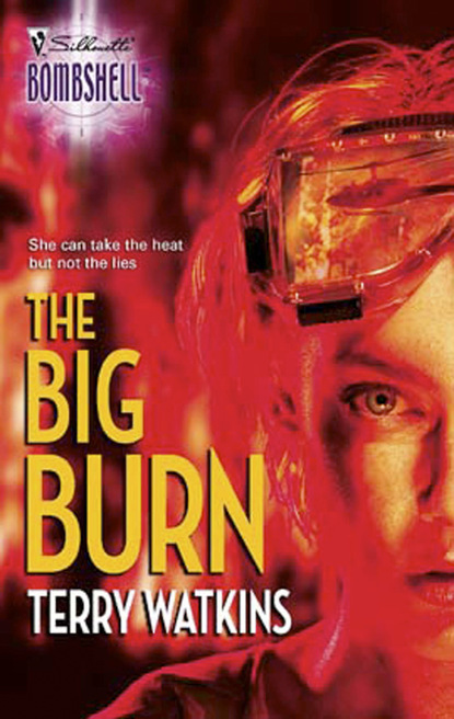 

The Big Burn