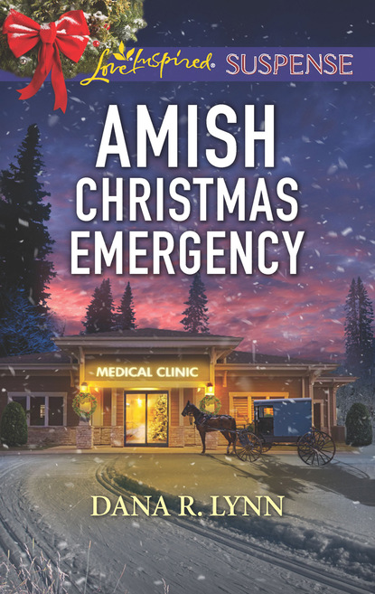 Dana R. Lynn - Amish Christmas Emergency