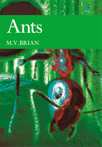 M. V. Brian — Ants