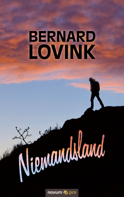 Niemandsland (Bernard Lovink). 