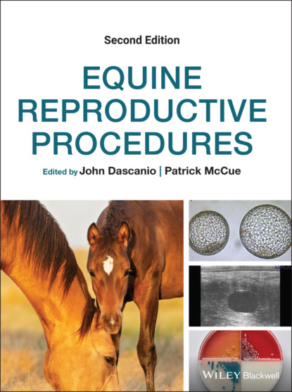 Группа авторов - Equine Reproductive Procedures