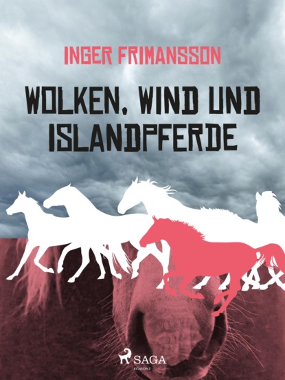 Inger Frimansson - Wolken, Wind und Islandpferde