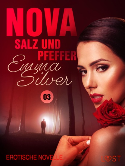 Nova 3 - Salz und Pfeffer: Erotische Novelle (Emma Silver). 