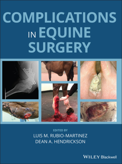 Группа авторов - Complications in Equine Surgery