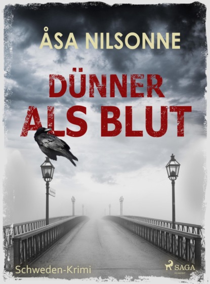 Dünner als Blut - Schweden-Krimi (Åsa Nilsonne). 