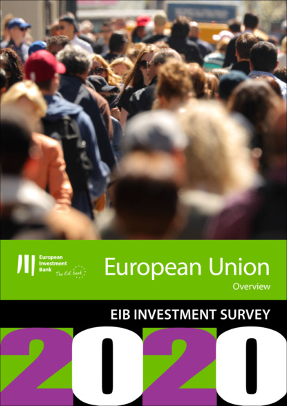 Группа авторов - EIB Group Survey on  Investment and Investment Finance 2020: EU overview