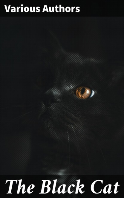 Various Authors - The Black Cat