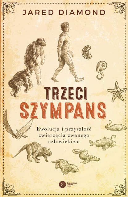 

Trzeci szympans.