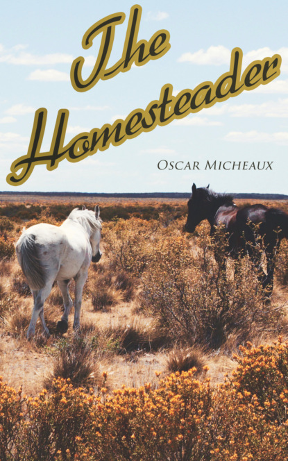 

The Homesteader