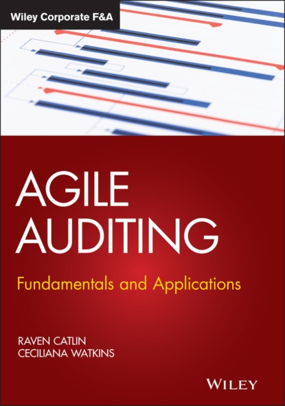 Raven Catlin - Agile Auditing