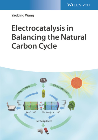Yaobing Wang - Electrocatalysis in Balancing the Natural Carbon Cycle
