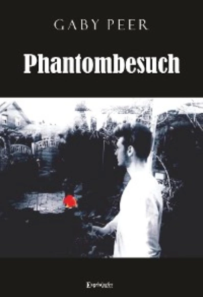 Обложка книги Phantombesuch, Gaby Peer