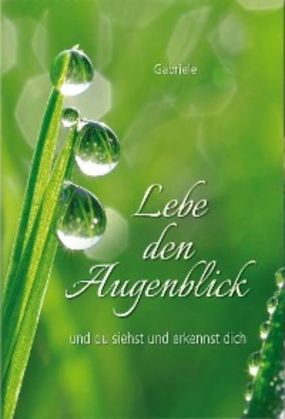 Обложка книги Lebe den Augenblick, Gabriele