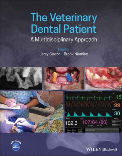 Группа авторов - The Veterinary Dental Patient: A Multidisciplinary Approach